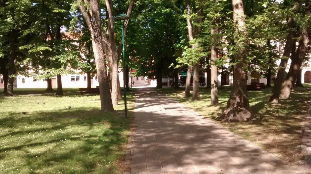 Ca' Giulia - Biennale - Free Wifi Fiber Apartment Венеция Екстериор снимка